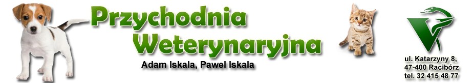 Przychodnia dla Zwierząt w Raciborzu